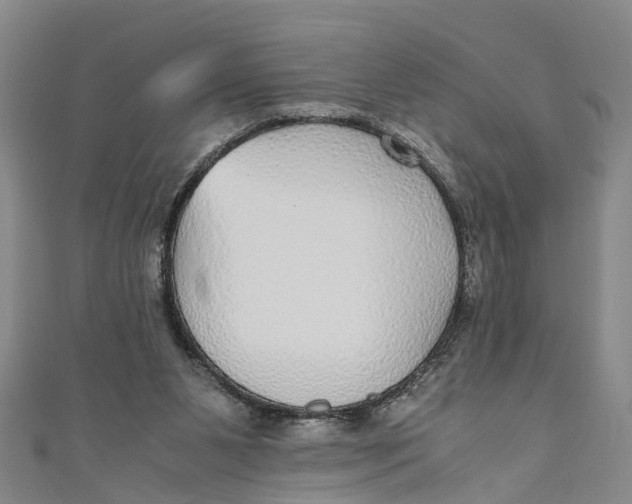 X0000110950111200907101315