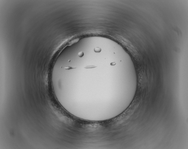 X0000110950112200907101315