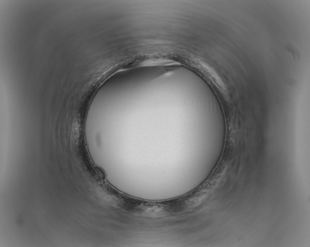 X0000110950113200907101315