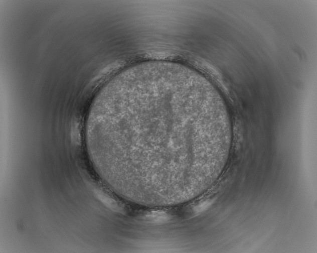 X0000110950114200907101315