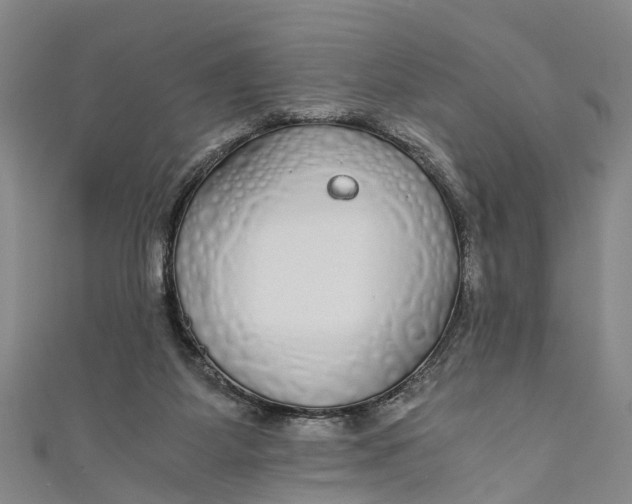 X0000110950115200907101315