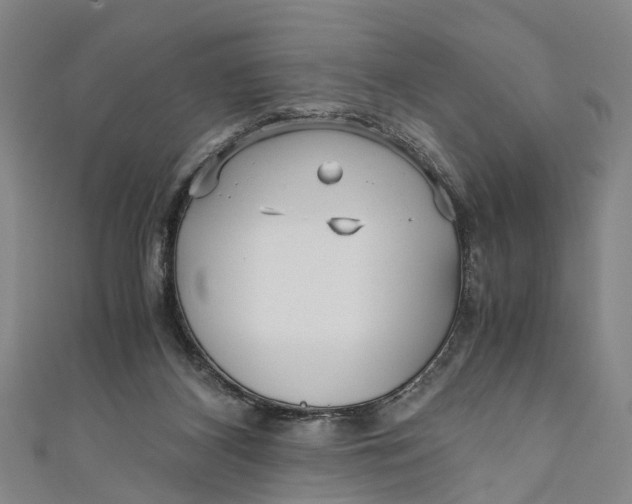 X0000110950116200907101315