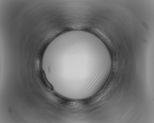 X0000110950117200907101315