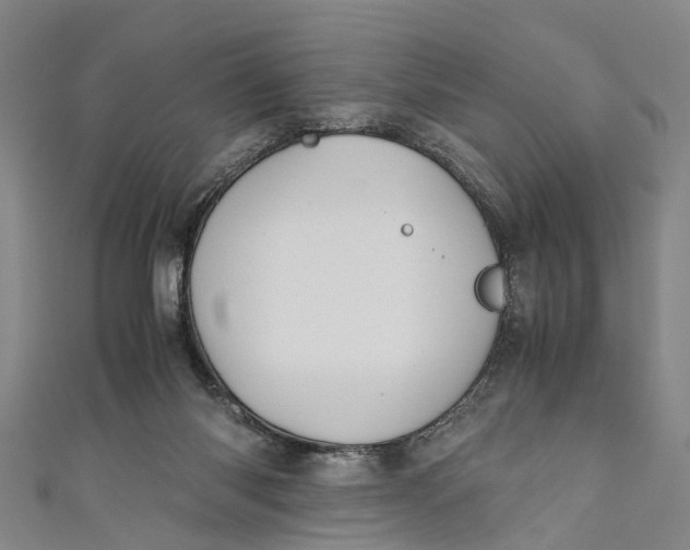 X0000110950118200907101315