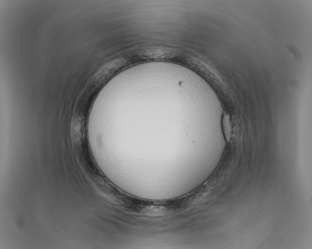 X0000110950119200907101315