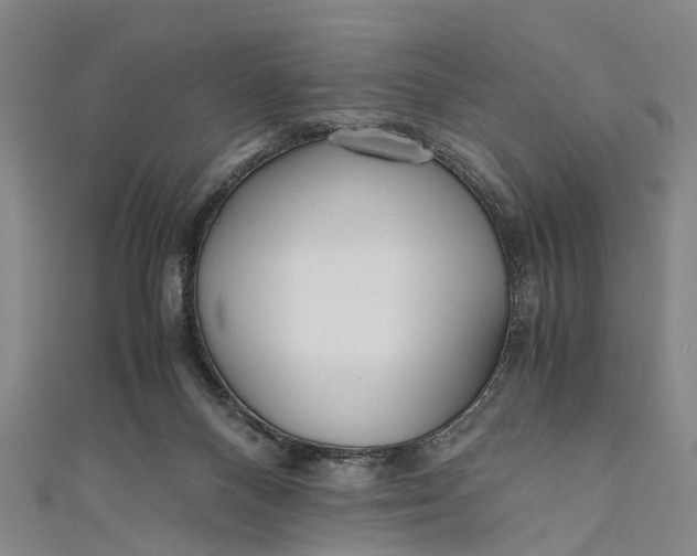 X0000110950120200907101315