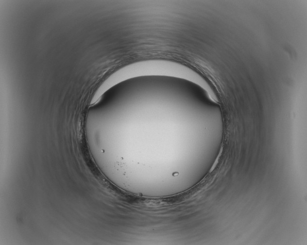 X0000110950121200907101315