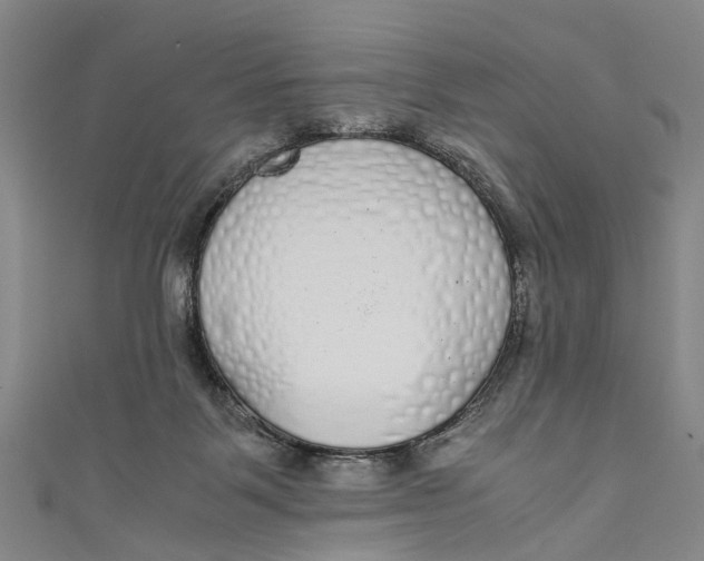 X0000110950123200907101315