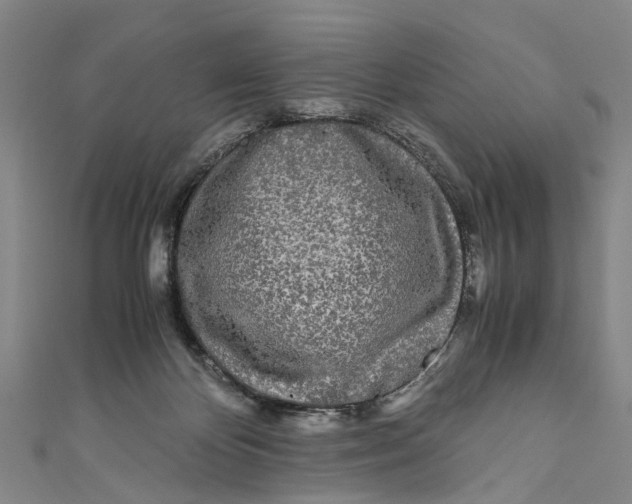 X0000110950124200907101315