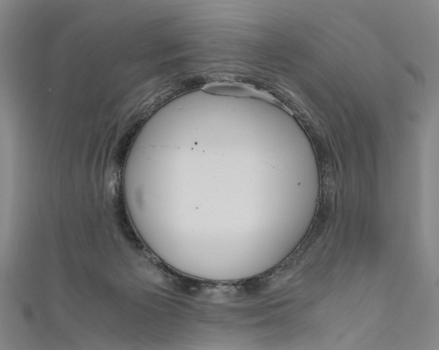 X0000110950125200907101315