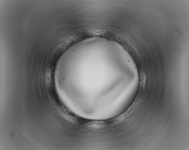 X0000110950128200907101315