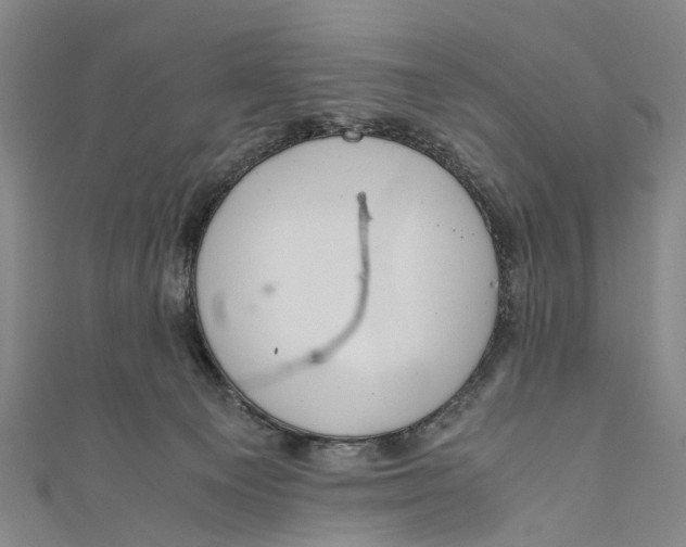 X0000110950129200907101315