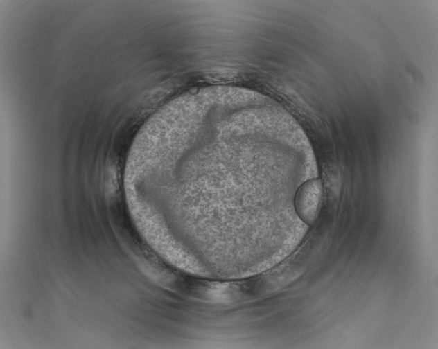 X0000110950130200907101315