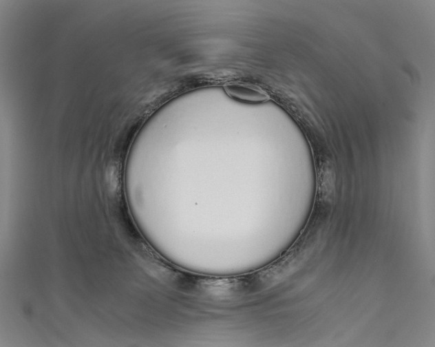 X0000110950131200907101315