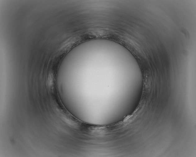 X0000110950132200907101315