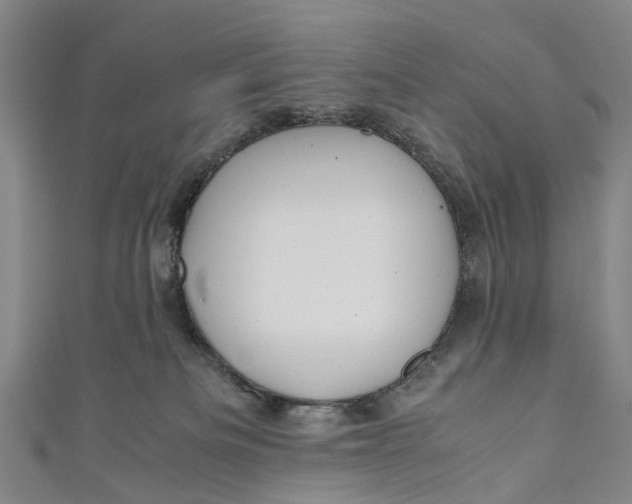 X0000110950133200907101315