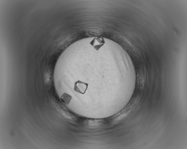 X0000110950134200907101315