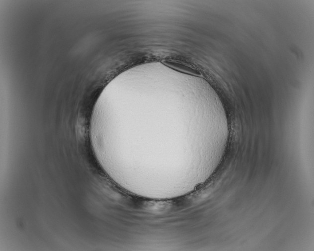 X0000110950135200907101315