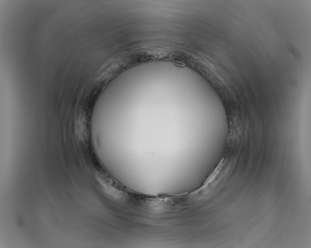 X0000110950136200907101315