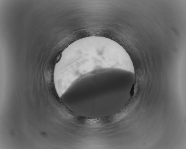 X0000110950139200907101315