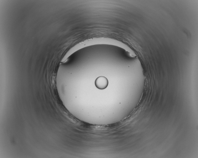 X0000110950141200907101315