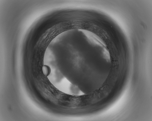 X0000110950143200907101315