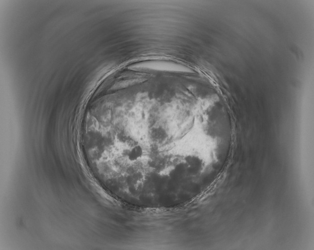 X0000110950145200907101314