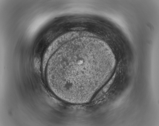 X0000110950146200907101314