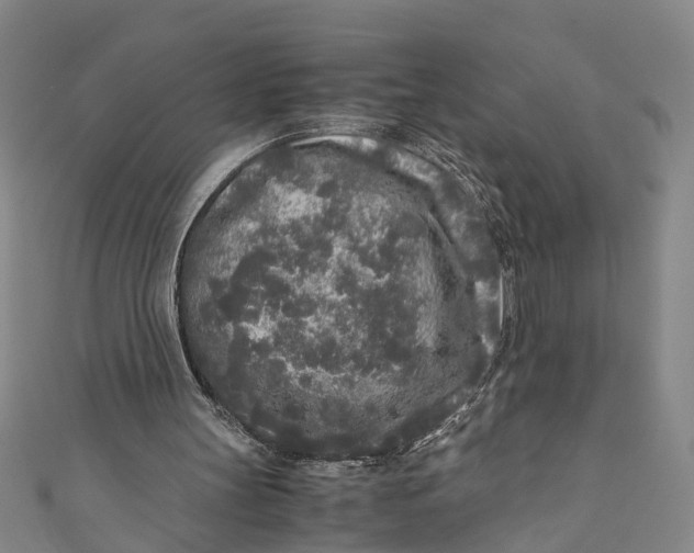 X0000110950147200907101314