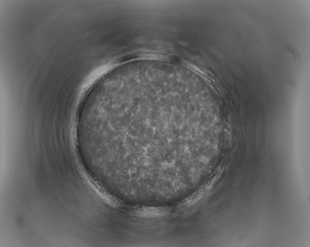 X0000110950149200907101314