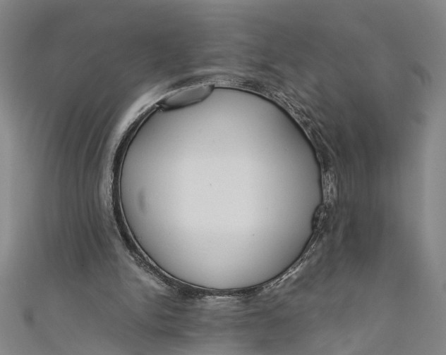 X0000110950150200907101314