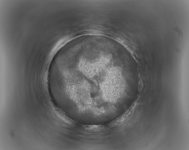 X0000110950151200907101314