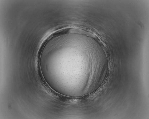 X0000110950152200907101314