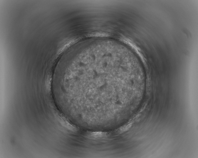 X0000110950153200907101314