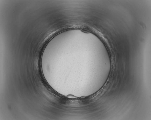 X0000110950154200907101314