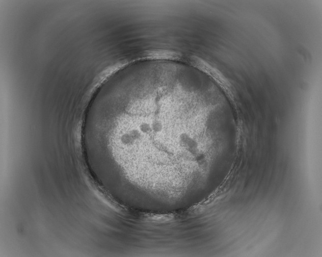 X0000110950155200907101314