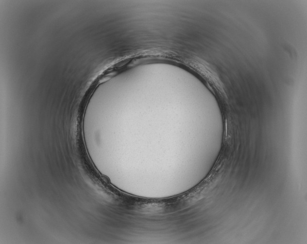 X0000110950156200907101314