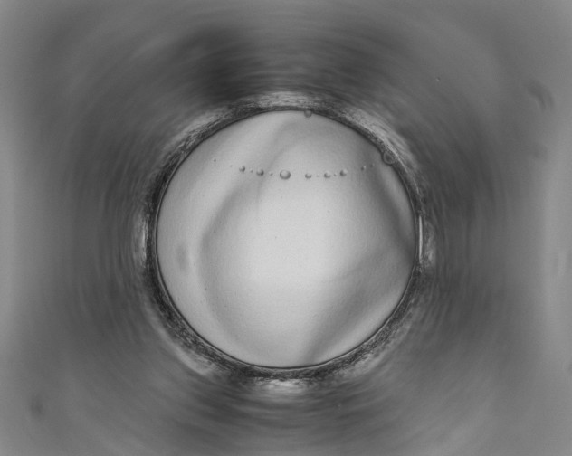 X0000110950157200907101314