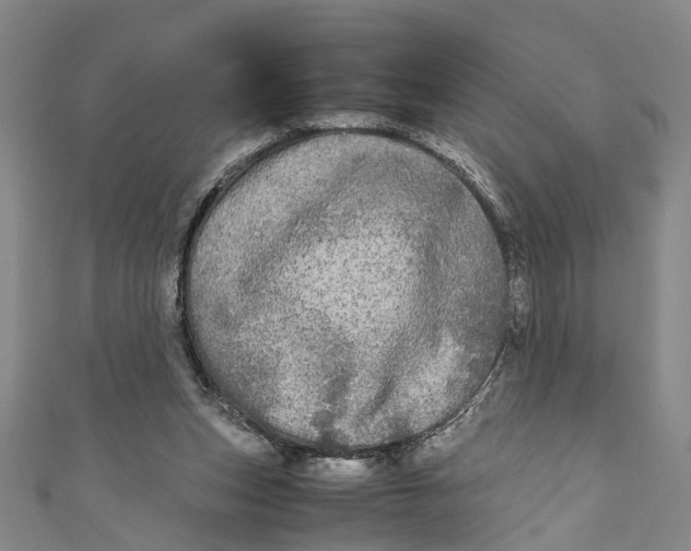 X0000110950159200907101314