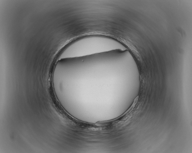 X0000110950160200907101314