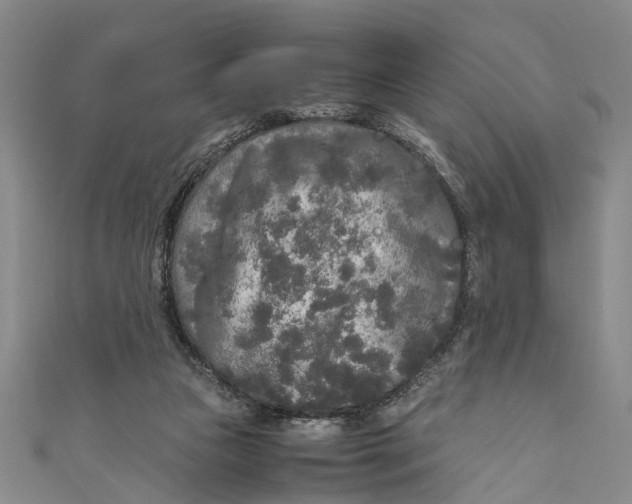 X0000110950161200907101314