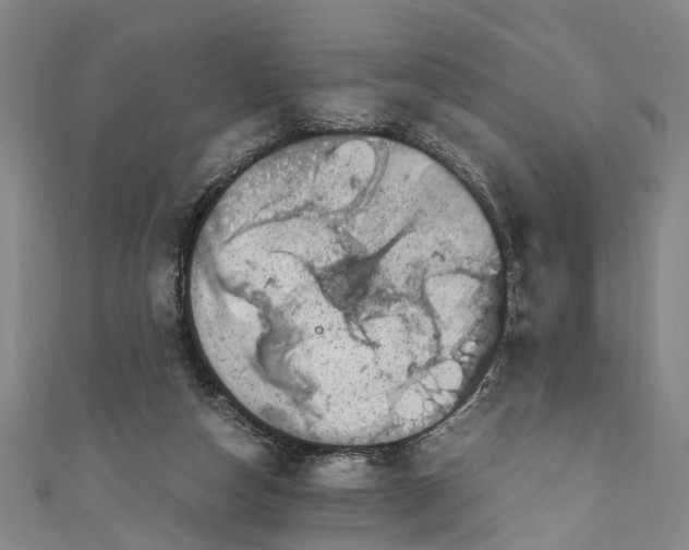 X0000110950162200907101314