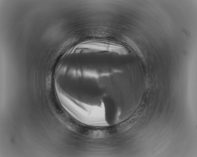 X0000110950163200907101314