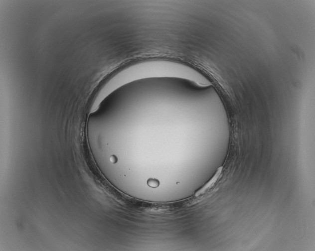 X0000110950164200907101314