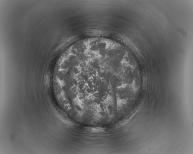 X0000110950165200907101314