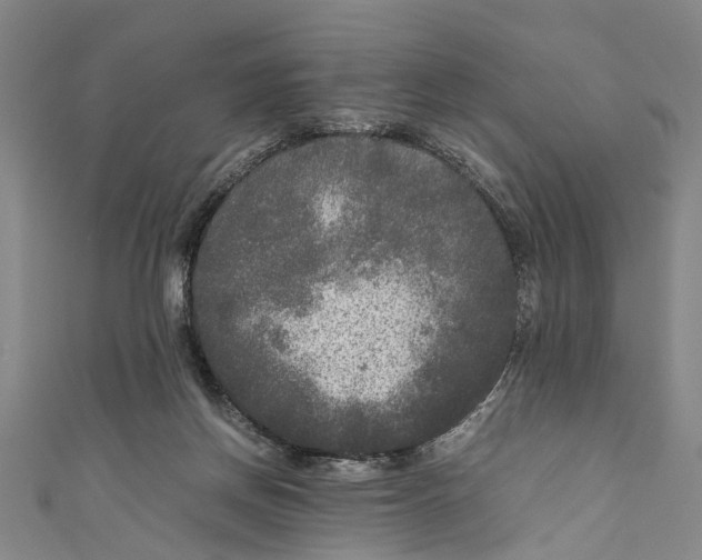 X0000110950166200907101314