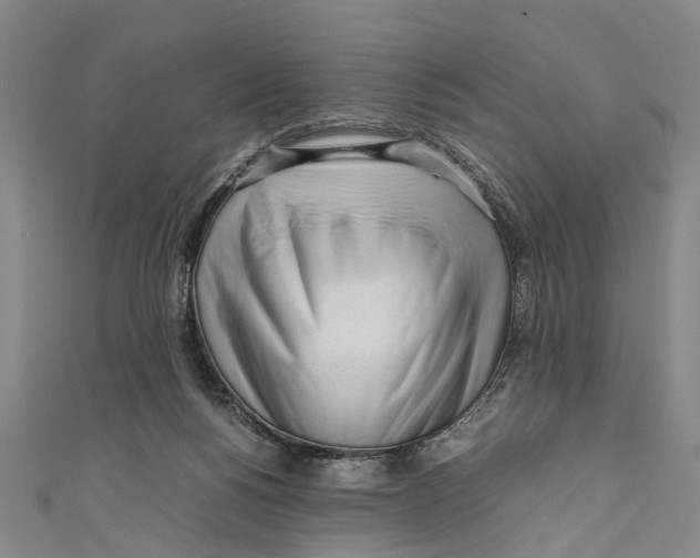 X0000110950168200907101314