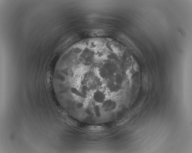 X0000110950169200907101314