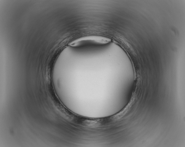 X0000110950170200907101314