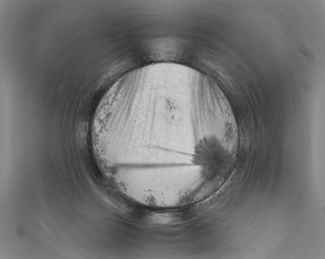 X0000110950171200907101314